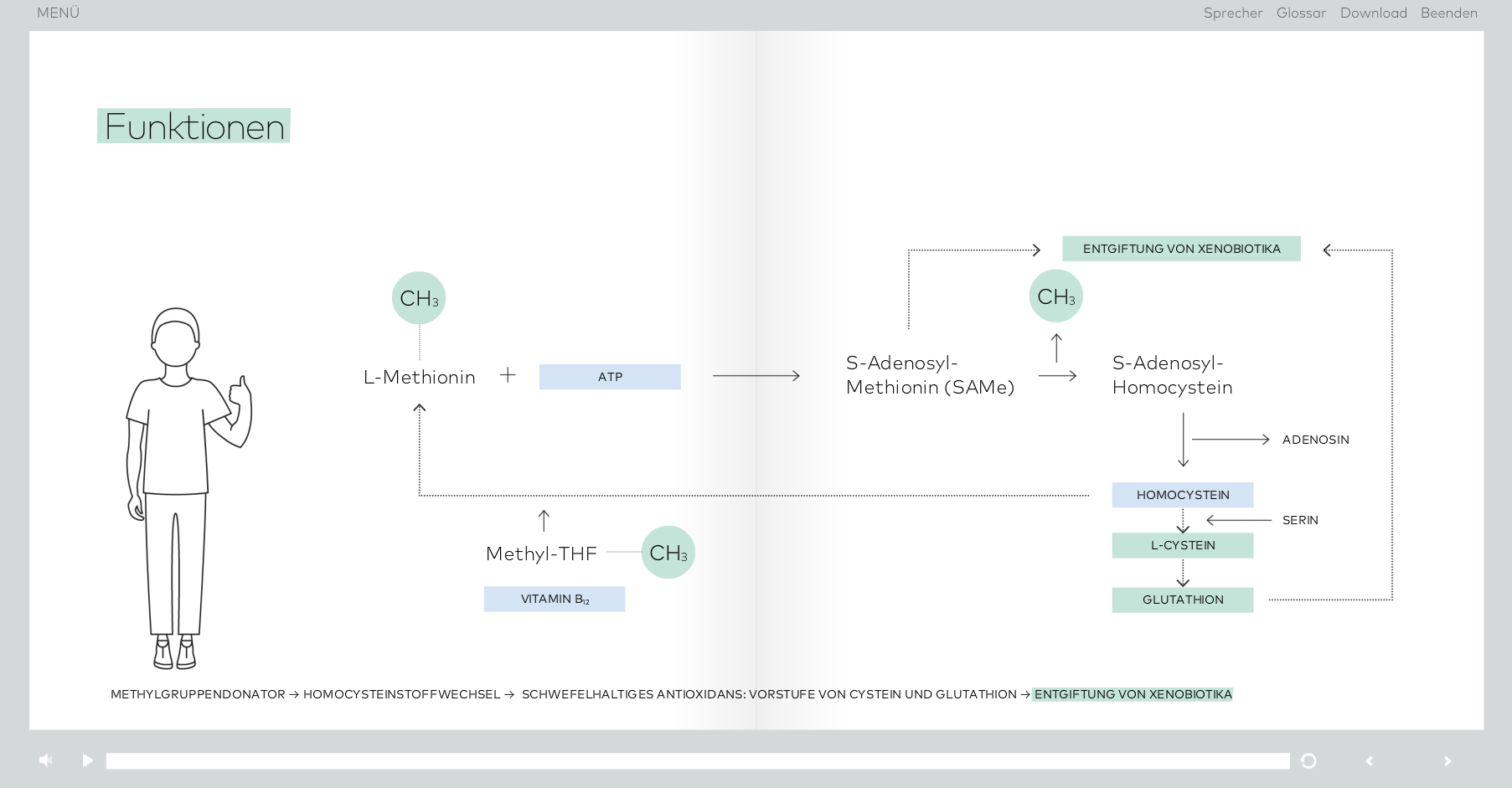 elearning_promedico_3